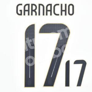 Copa America 2024 Argentina Home Name Number Set #17 GARNACHO Repro