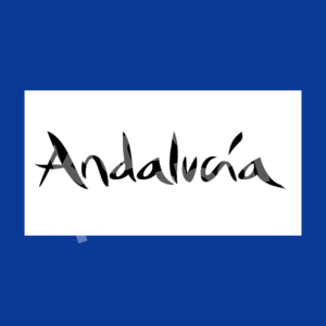 2005-06 Malaga CF Andalucia Sponsor Patch Negro Parche Publicidad Repro - Image 1