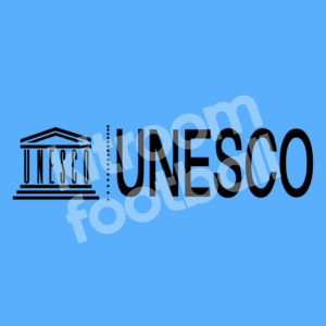 2011-15 Malaga CF Home Sponsor Patch UNESCO (Repro)