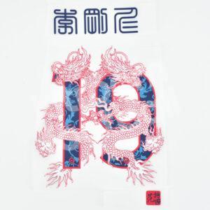 2023-24 PSG Paris Away Name Number Set #19 LEE KANG IN New Year Chinese Repro