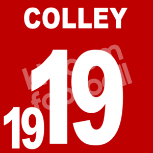 2023-24 Africa Cup of Nations Gambia Home Name Number Set #19 COLLEY Repro
