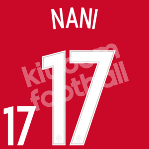 UEFA Euro 2016 Portugal Home Name Number Set #17 NANI Repro (Plastisol)