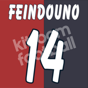 2003-04 Girondins Bourdeaux Name Number Set #14 FEINDOUNO UEFA Repro