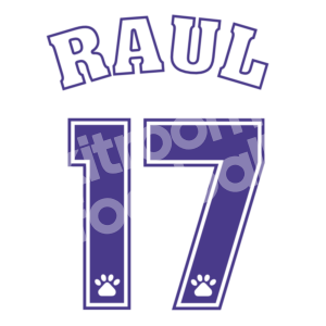 1995-96 Real Madrid Home Number #17 RAUL Kelme Repro