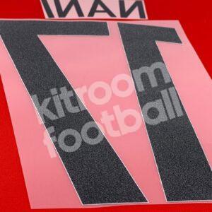 UEFA Euro 2016 Portugal Home Name Number Set #17 NANI Repro (Plastisol) - Image 4