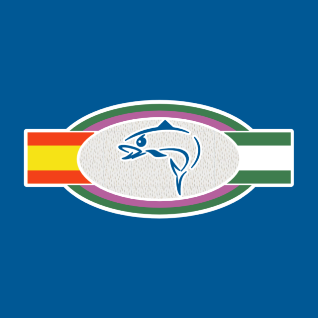 2010-11 Málaga CF Patch Lining Flags Boqueron (Velvet) Repro – Kitroom ...