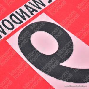 2015-16 Bayern Munich Home Name Set #9 LEWANDOWSKI (Repro) - Image 3