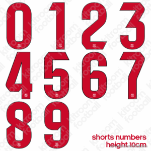 Original Player Issue 2024-25 La Liga Barcelona Away Shorts Number (1pc each) (TPT)