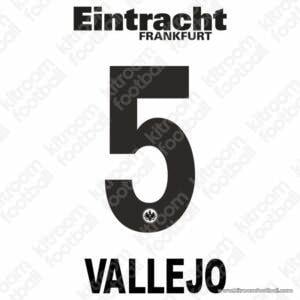 2016-17 Eintracht Frankfurt Home & Third Name Set #5 VALLEJO (Repro)
