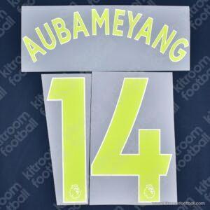 2019-20 Arsenal Premier League Third Name Set #14 AUBAMEYANG (Repro)