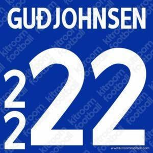 2016 Iceland UEFA Euro Home Name Set #22 GUDJOHNSEN (Repro)