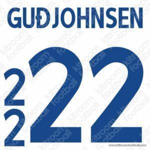 2016 Iceland UEFA Euro Away Name Set #22 GUDJOHNSEN (Repro)