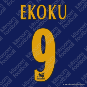 1997-98 Wimbledon FC Premier League Home Name Set #9 EKOKU (Repro) - Image 1