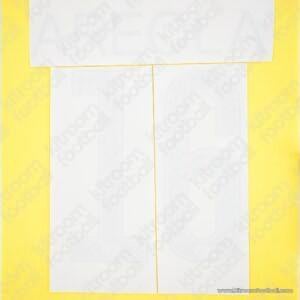 Original Player Issue 2017-18 PSG Ligue One Away Name Set #16 AREOLA (Monblasson)