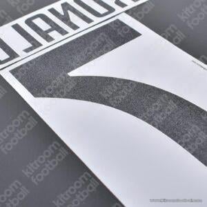 Original Player Issue 2019-20 Juventus Home Name Set #7 RONALDO - Image 2
