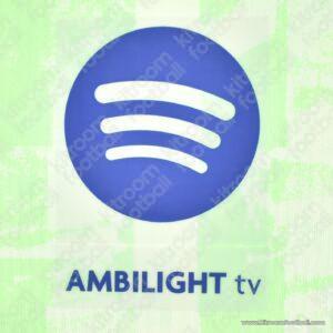 Original Player Issue 2024-25 Barcelona Third Sponsor Patch SPOTIFY AMBILIGHT (TPT)