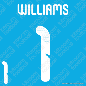 2026 South Africa FIFA World Cup Goalkeeper Name Set #1 WILLIAMS (Repro)