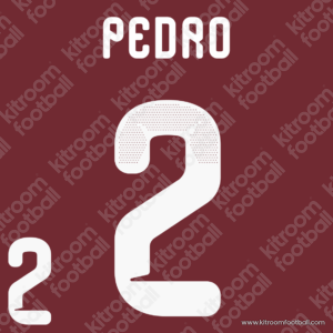 2026 Qatar FIFA World Cup Home Name Set #2 PEDRO (HQ  Repro)