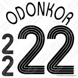 2006 Germany FIFA World Cup Home Name Set #22 ODONKOR (Repro)