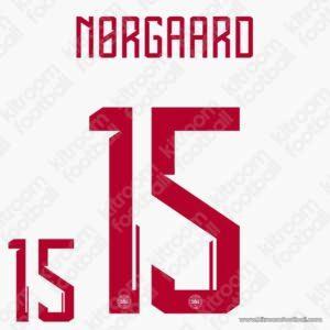 2024 Denmark UEFA Euro Away Name Set #15 NORGAARD (Repro)