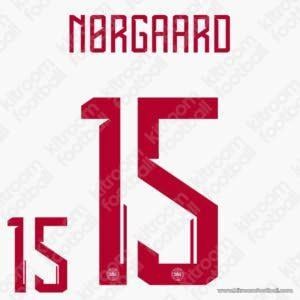 2024 Denmark UEFA Euro Away Name Set #15 NORGAARD (Repro) - Image 1