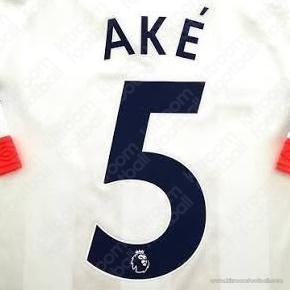 2017-20 AFC Bournemouth Premier League Away Name Set #5 AKE (HQ Repro)
